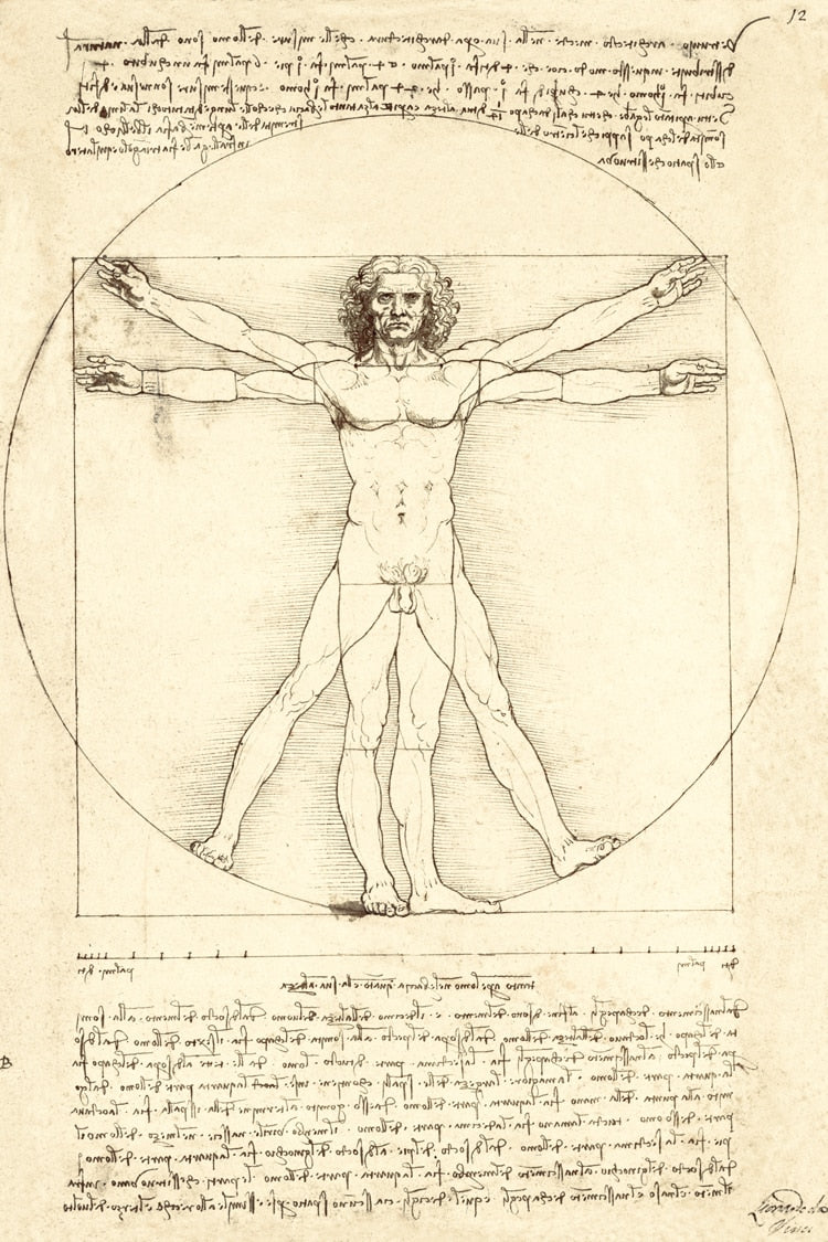 Vitruvian Man by Leonardo da Vinci